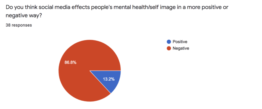 The Effects of Social Media on One's Self Image.