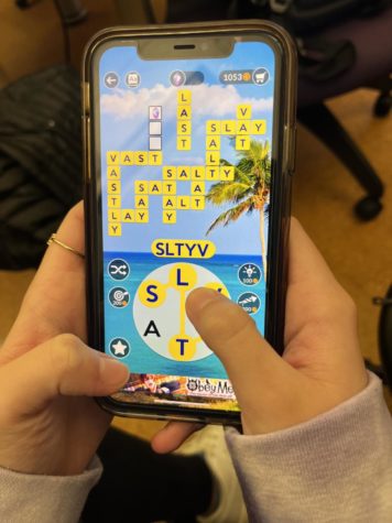 Call of Duty, Clash Royale, Grand Theft Auto? Nope. Wordscapes? Yes!