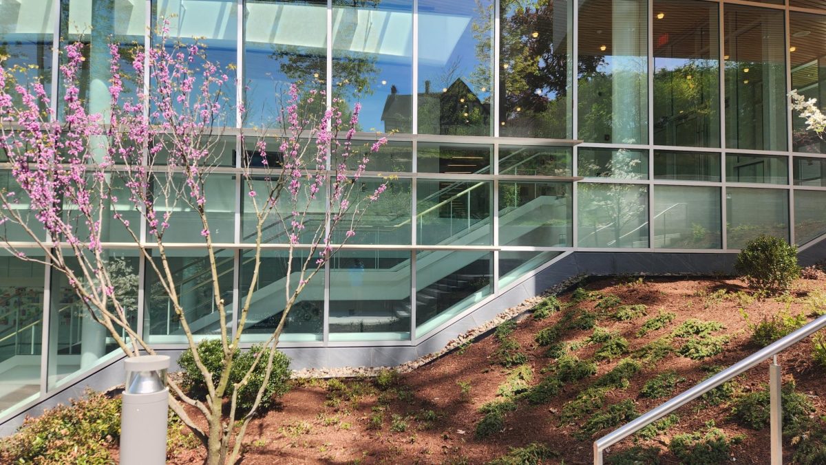 Side view of the Creative Arts and Technology Center. A cherry blossom tree starts to bloom as the weather is getting warmer. The large amount of windows help to brighten the inside of the center with natural light.