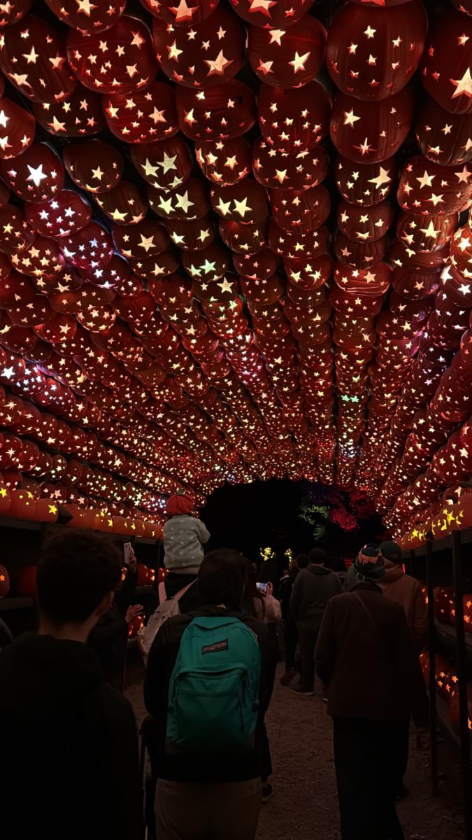 ACF64D68-01F2-456C-BD3B-DFF91F2C544B