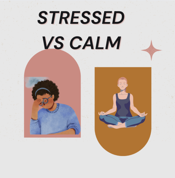 Two Students, Two Very Different Schedules