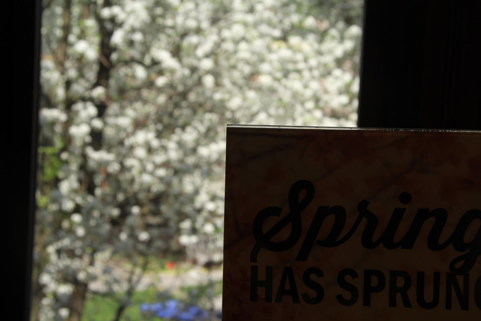 Photos around Hackley campus