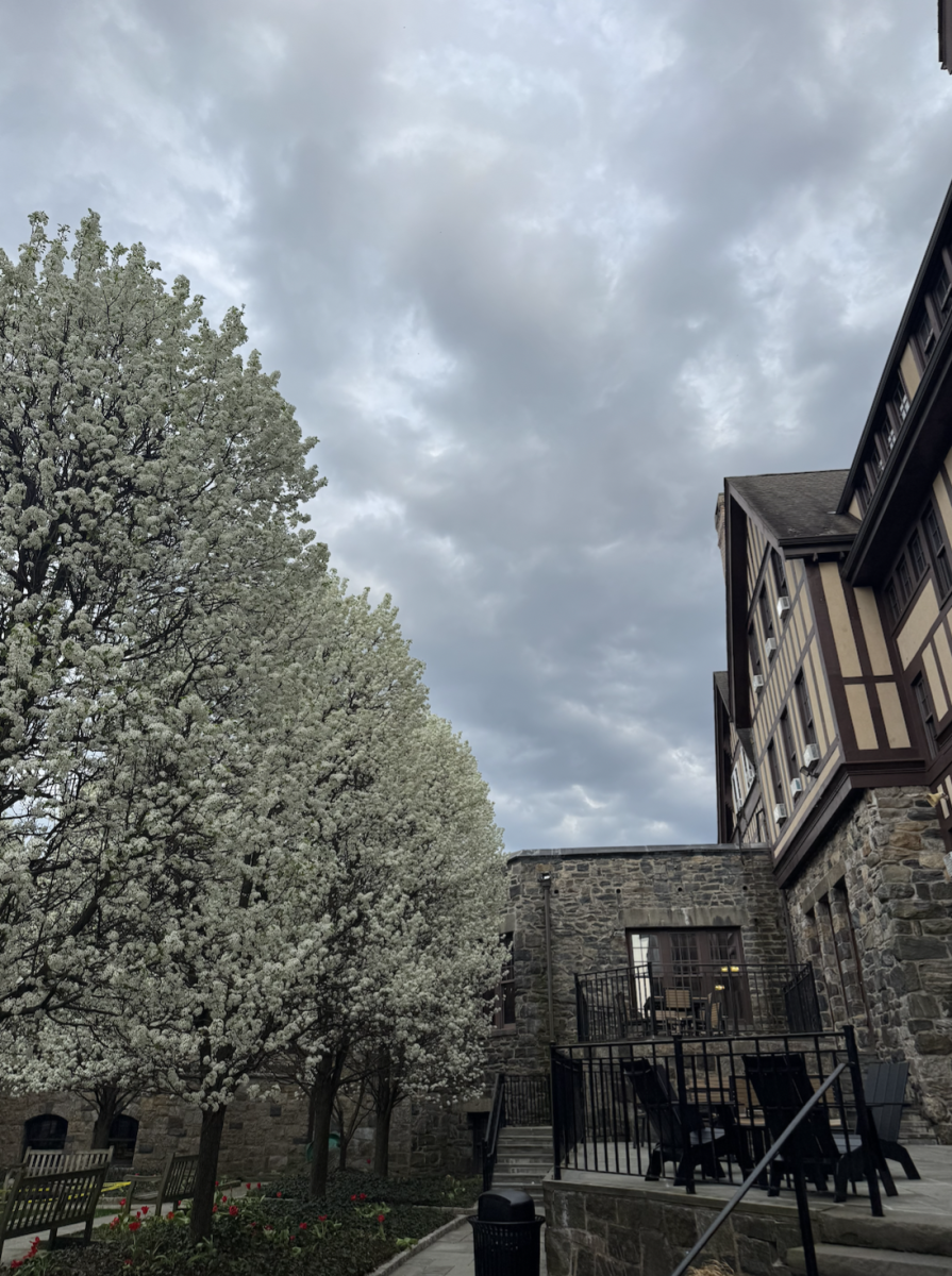 Spring at Hackley