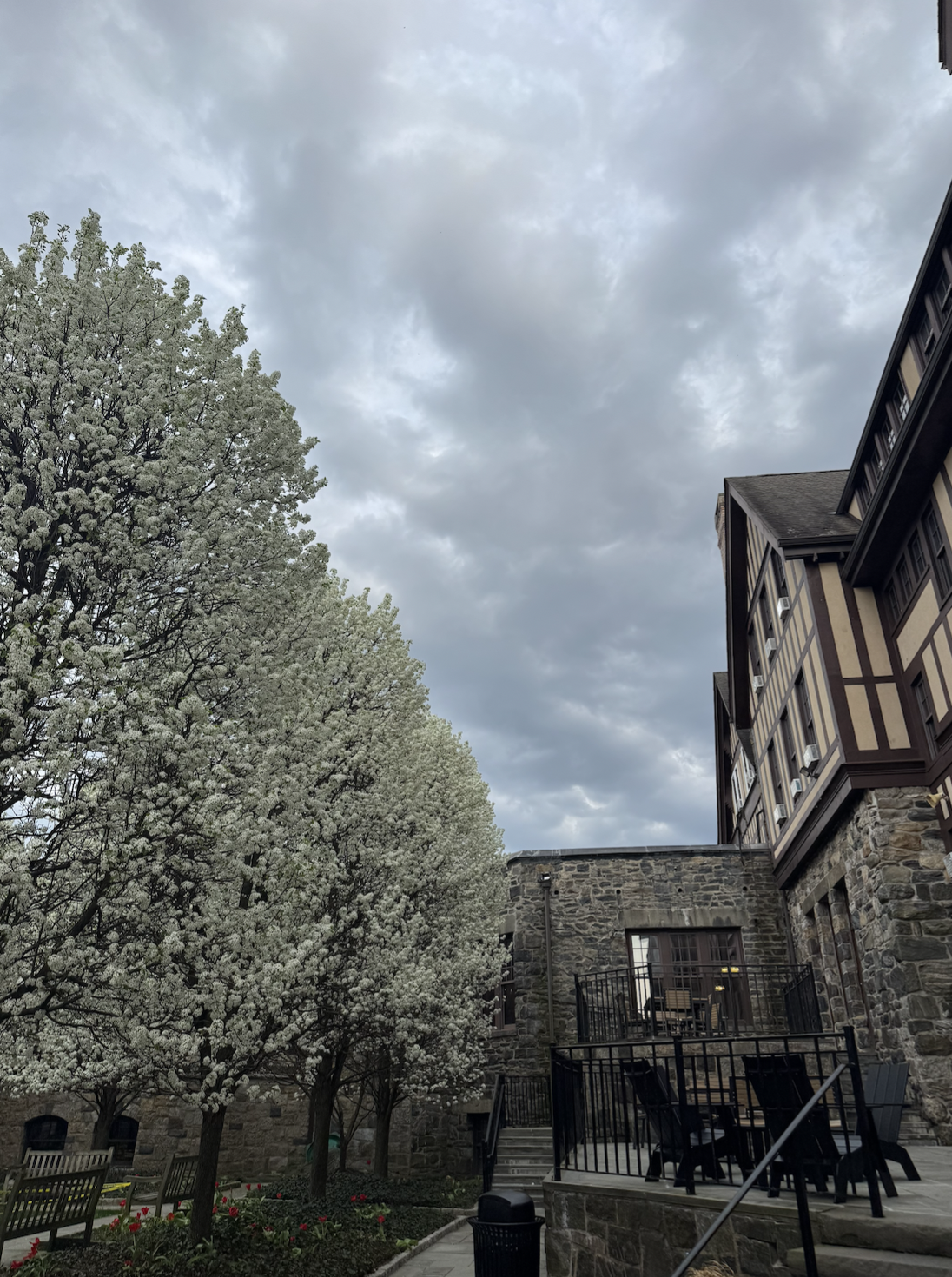 Spring at Hackley